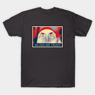 In USA we trust - Shepard Fairey style design T-Shirt